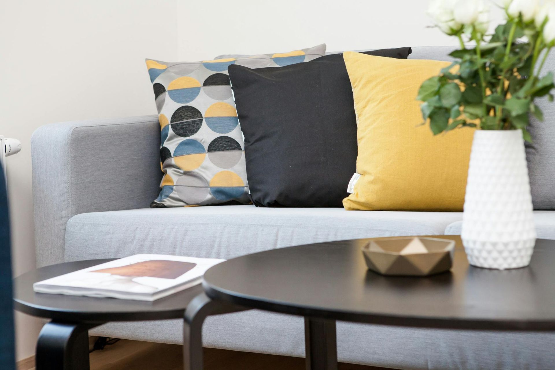 Professionel sofa rens